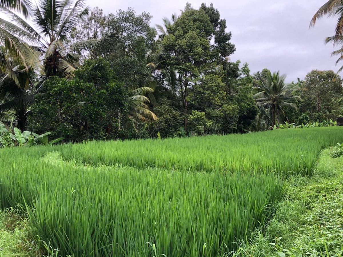 Titian Dewi Villa Ubud - 3 Bedroom Private Villa Close To Cretya Day Club เตกากาลัง ภายนอก รูปภาพ